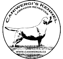 caniwergis