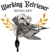 wrlogo